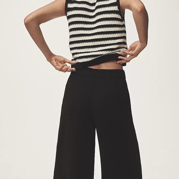 NWT!!  Anthropologie Maeve Pleated Cullotte Trousers Small - Picture 3 of 5